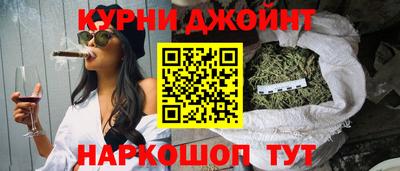 гидра Гатчина