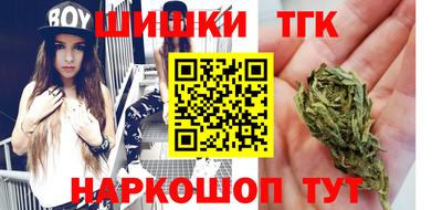 гидра Гатчина
