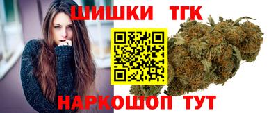 гидра Гатчина