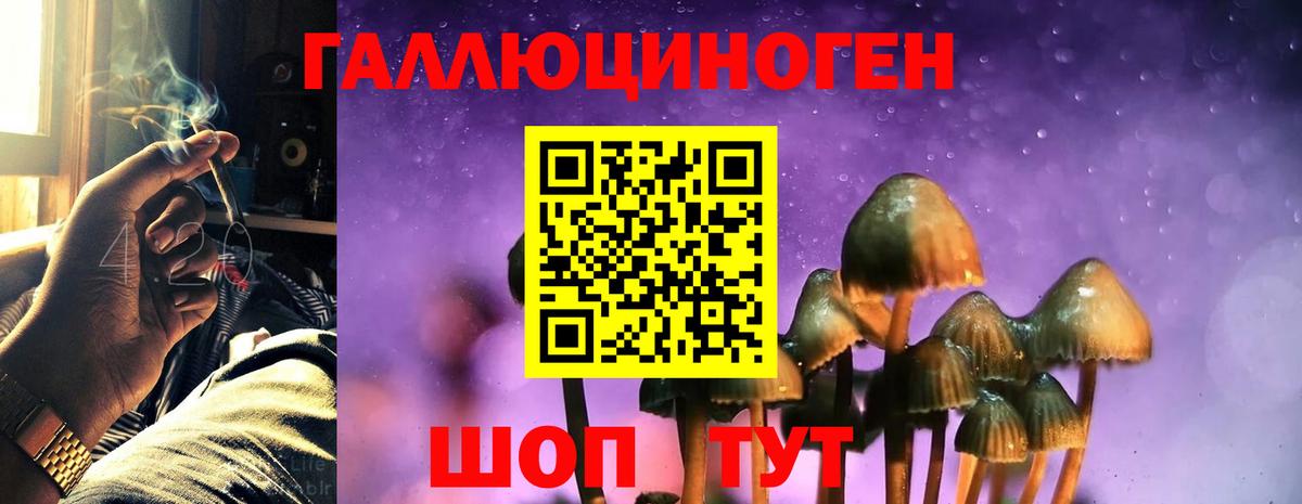 Новочеркасск  Псилоцибиновые грибы ЛСД  Вход с VPN 